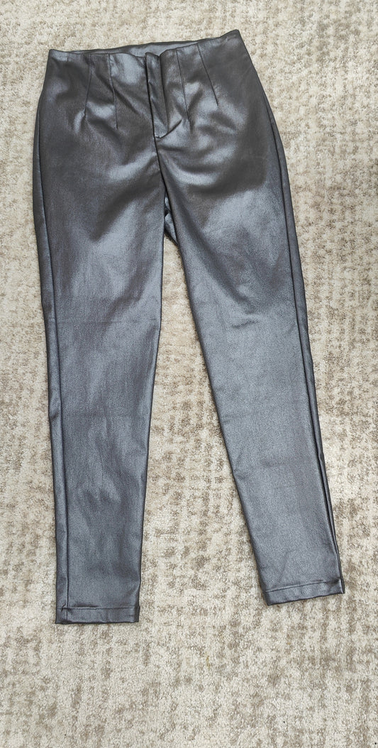 Metallic Pants